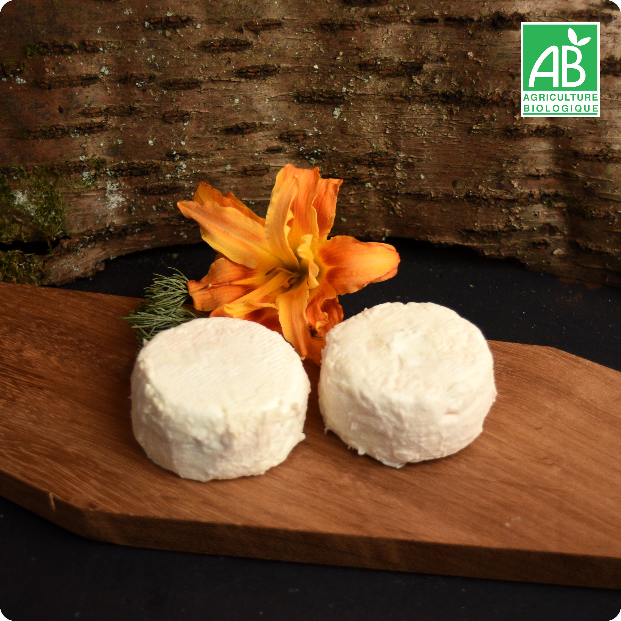 Crottin de chèvre frais nature