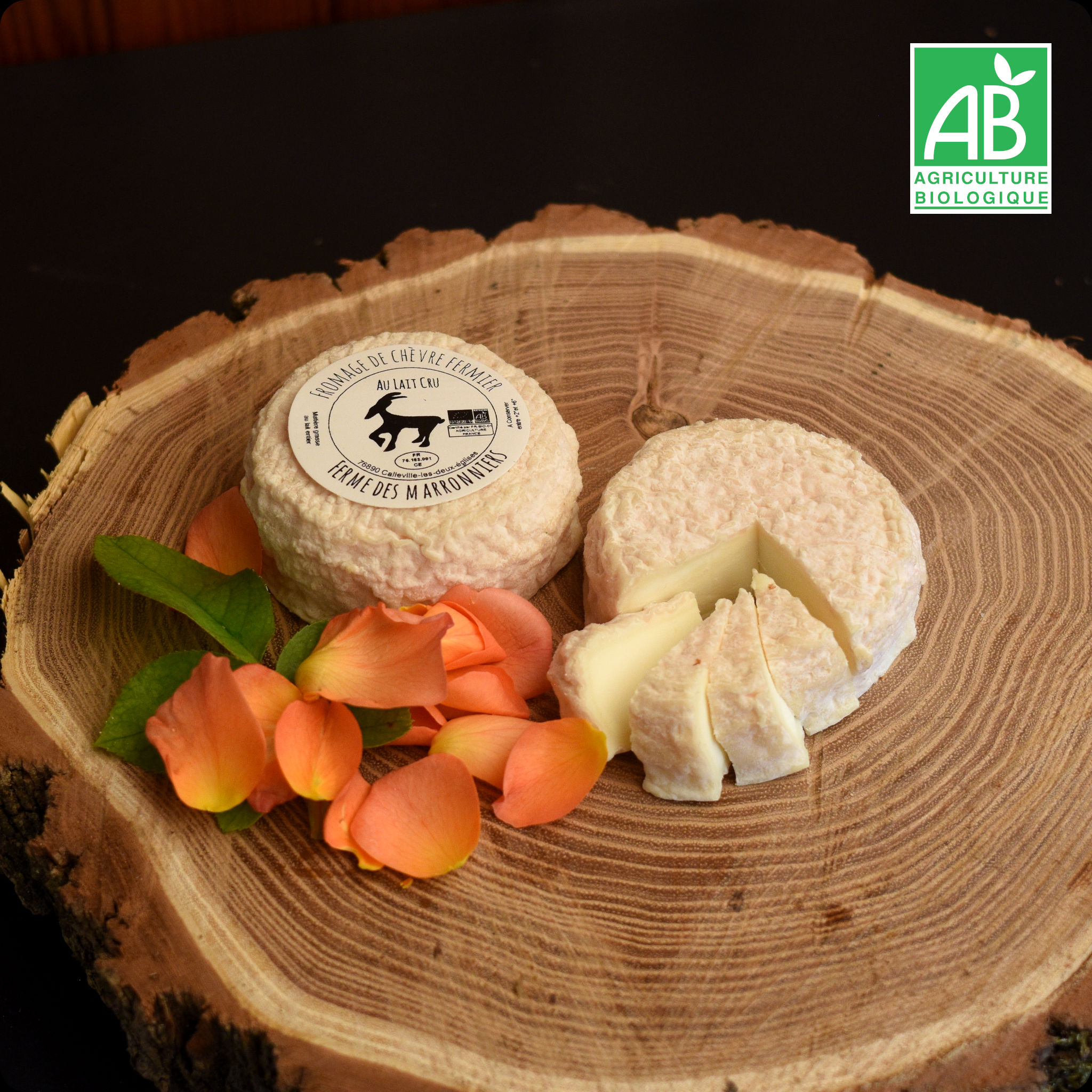 Palet de chèvre demi-sec