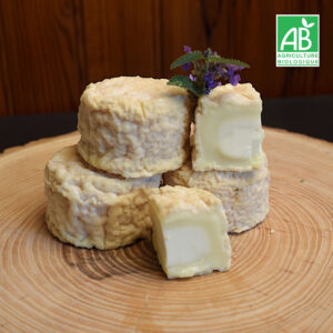Crottin de chèvre demi-sec