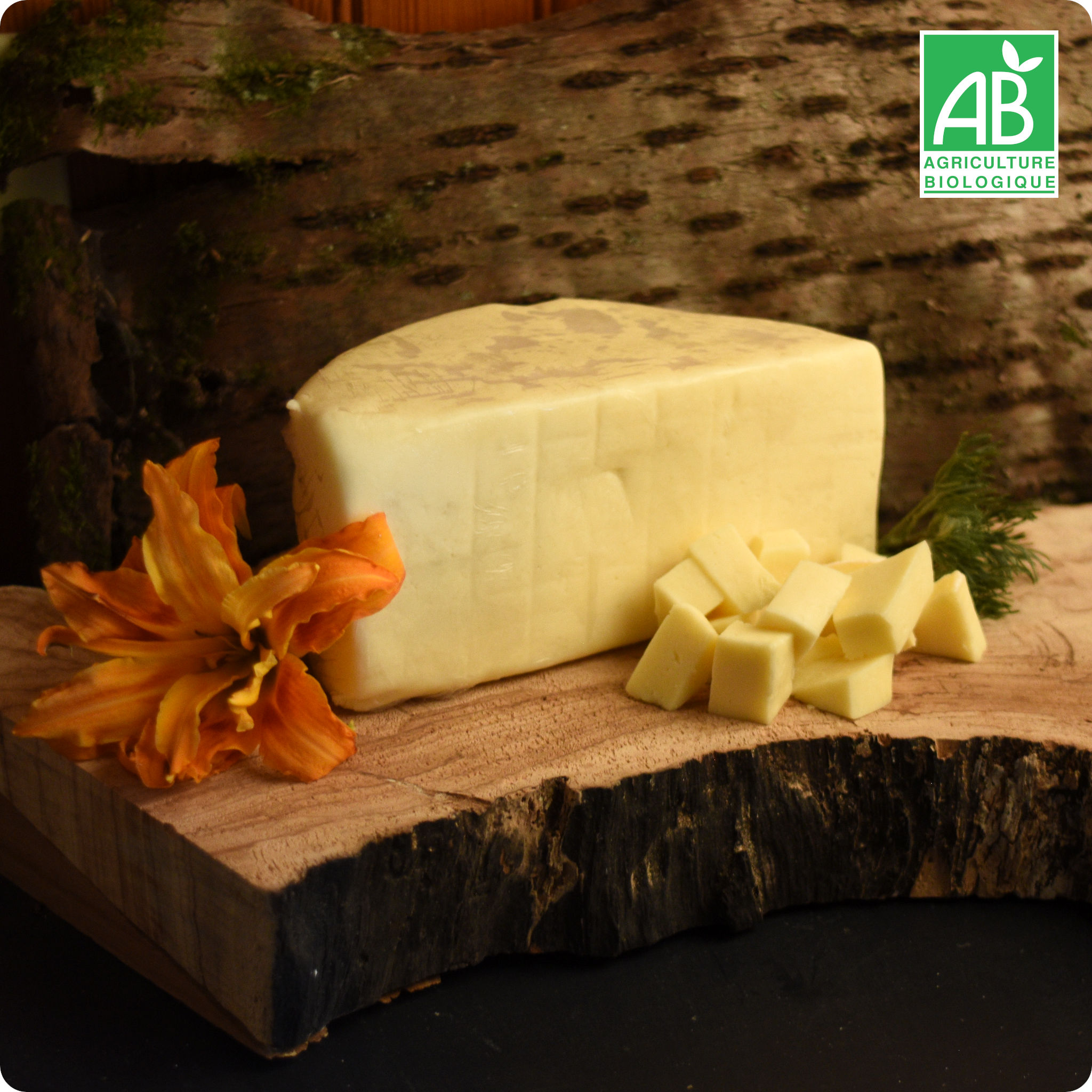Fromage à fondre/gratiner (pour pizza, pâtes, gratin,...)