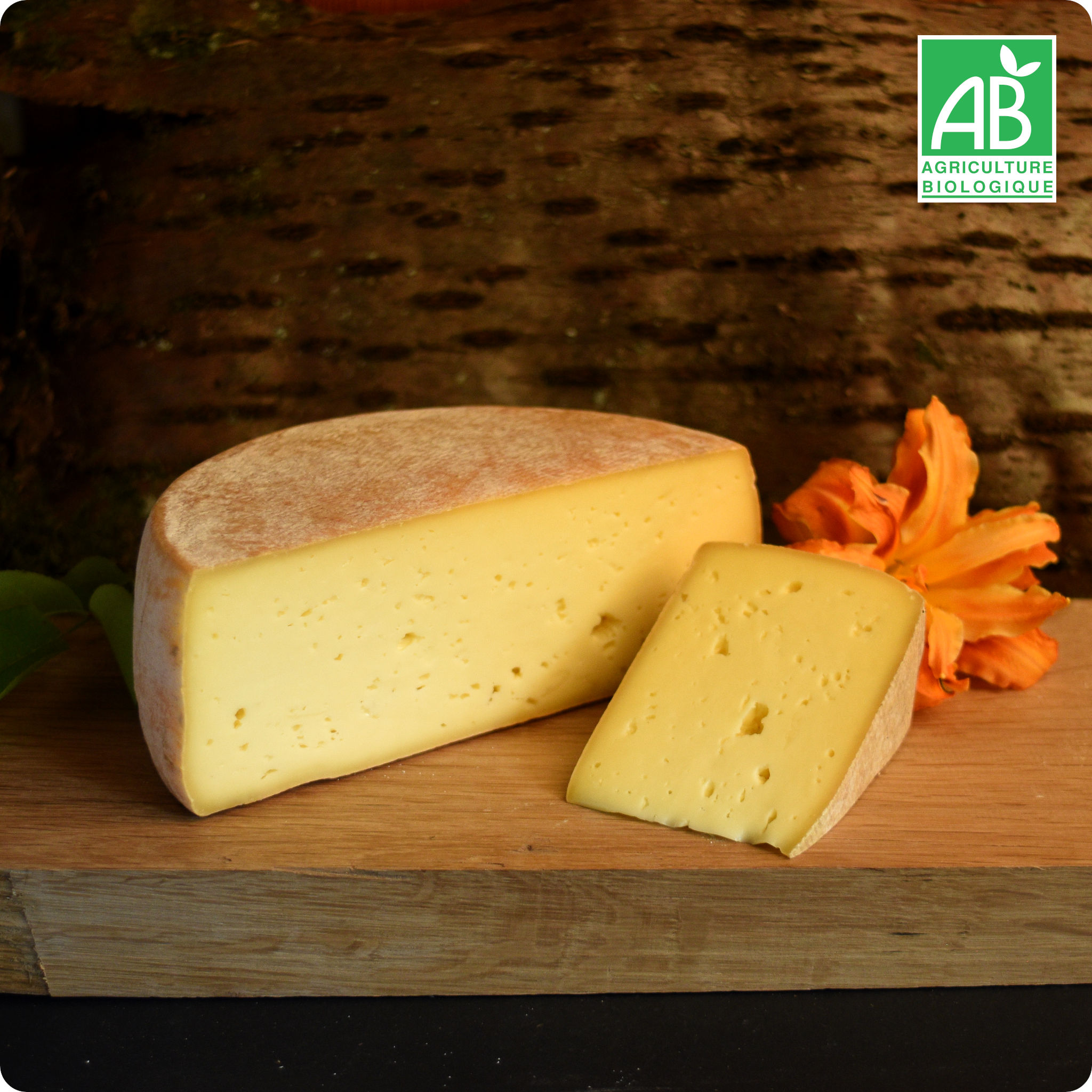 Tomme des Monts du lyonnais